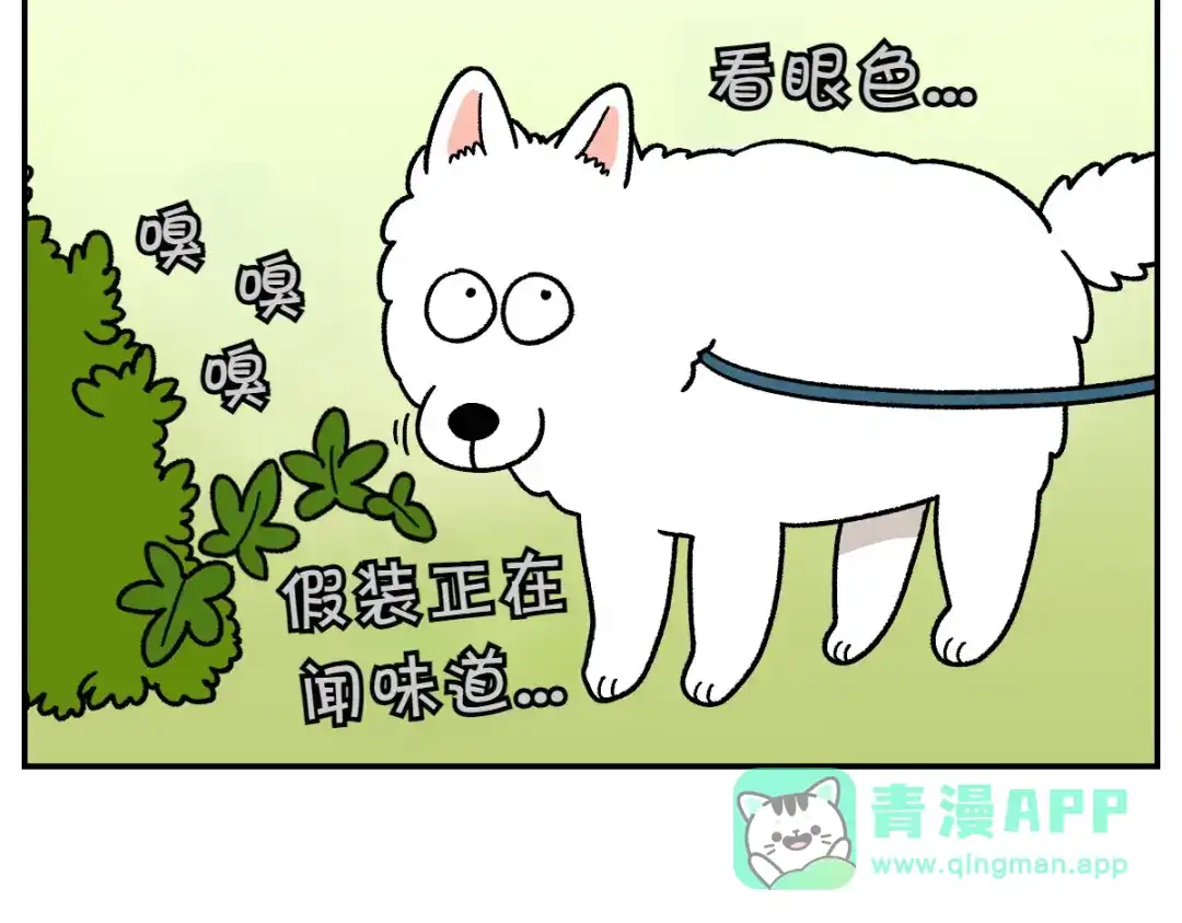 第63话拔草和吃血-我的狗子叫棉花-milo+Polarfox（第10张）