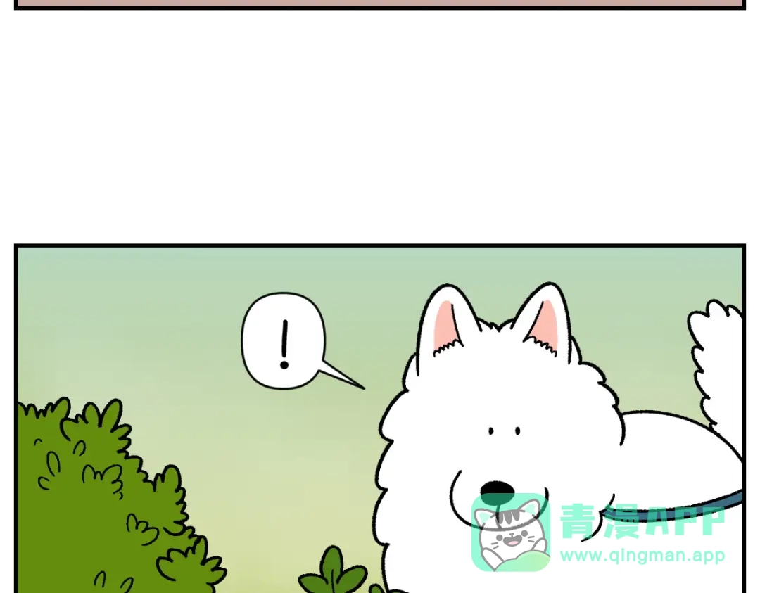 第63话拔草和吃血-我的狗子叫棉花-milo+Polarfox（第5张）
