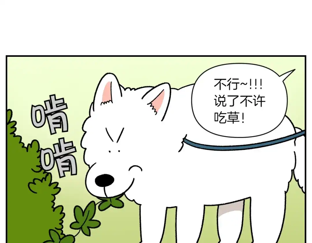 第63话拔草和吃血-我的狗子叫棉花-milo+Polarfox（第11张）