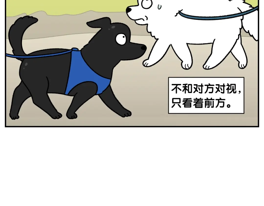 第64话和狗狗朋友问好-我的狗子叫棉花-milo+Polarfox（第6张）
