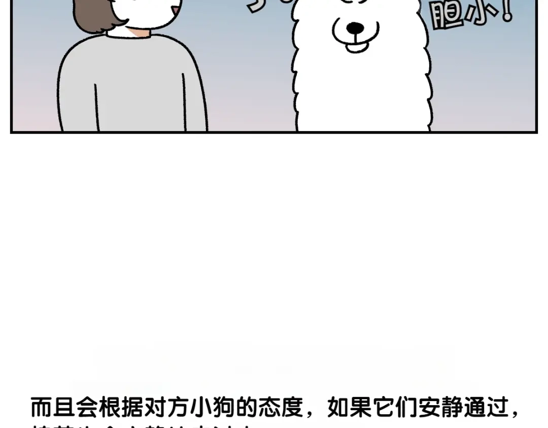第64话和狗狗朋友问好-我的狗子叫棉花-milo+Polarfox（第9张）
