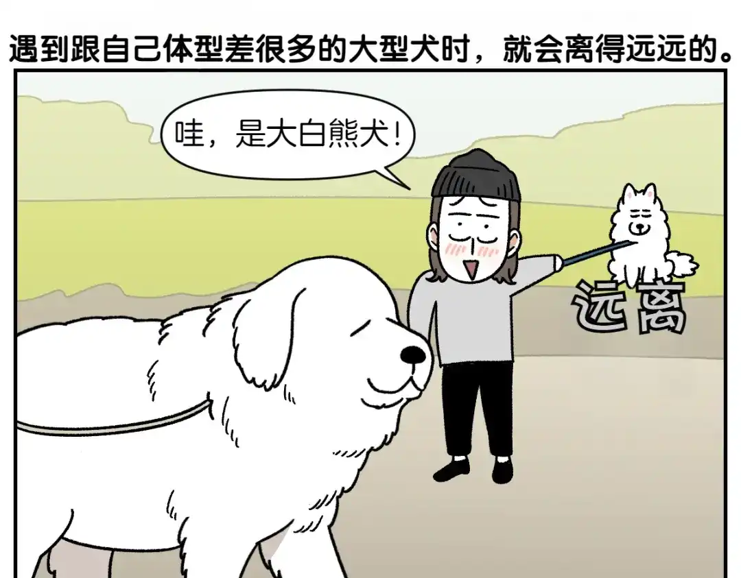 第64话和狗狗朋友问好-我的狗子叫棉花-milo+Polarfox（第7张）
