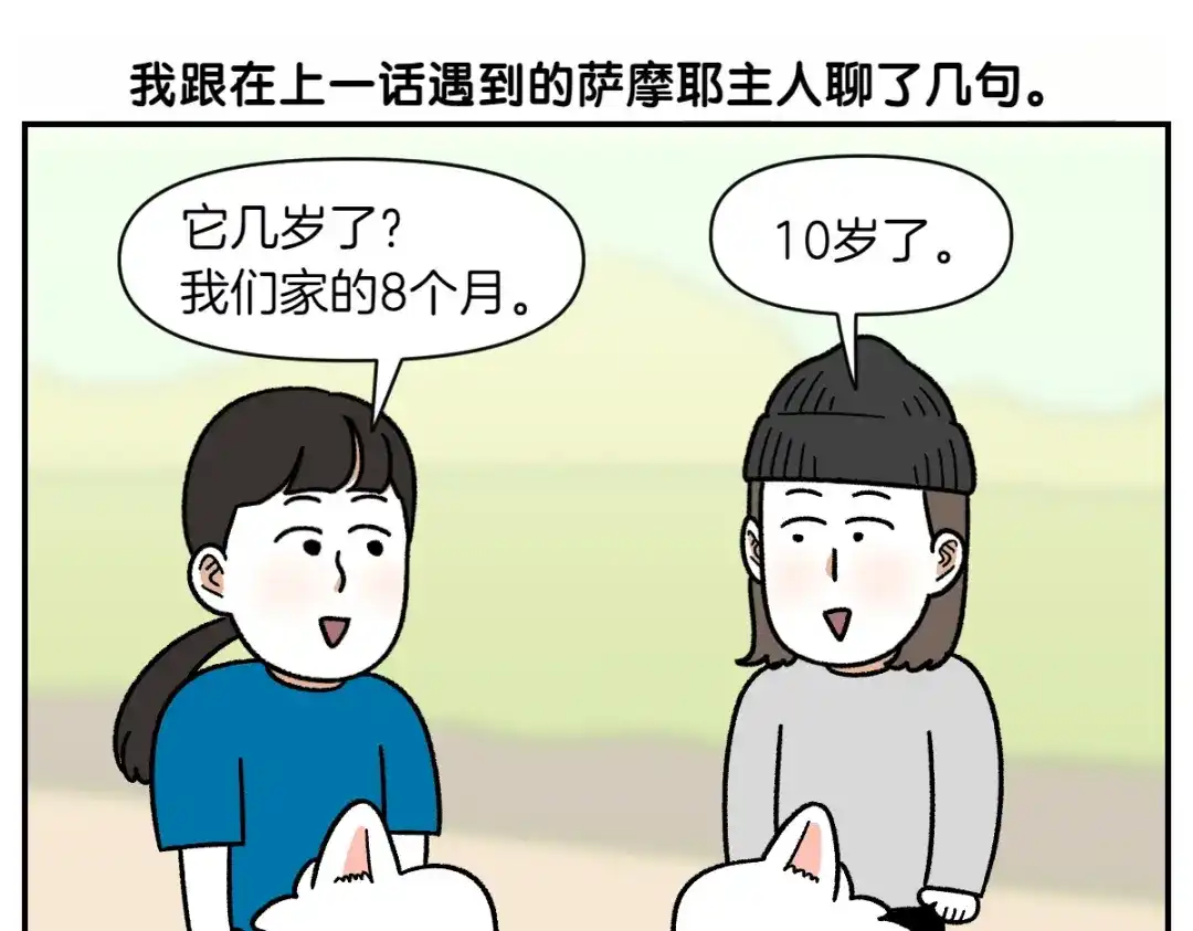 第65话成了贪吃狗的棉花-我的狗子叫棉花-milo+Polarfox（第4张）