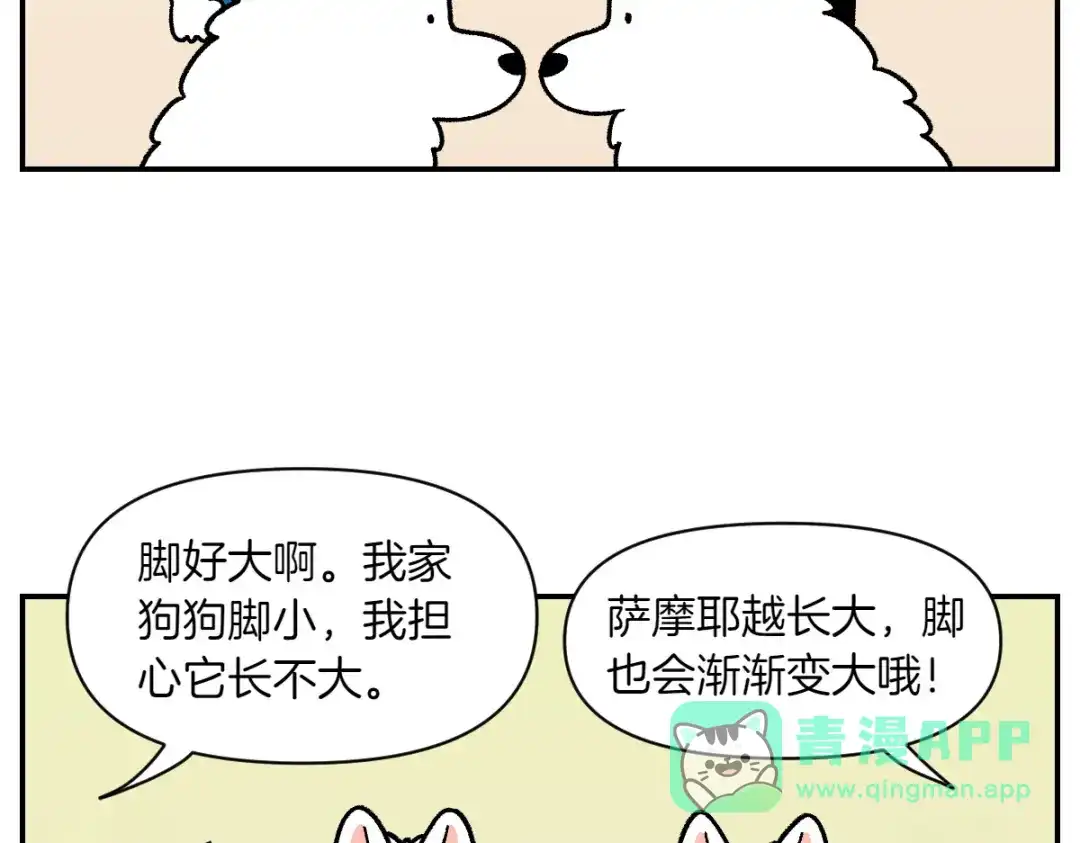 第65话成了贪吃狗的棉花-我的狗子叫棉花-milo+Polarfox（第5张）