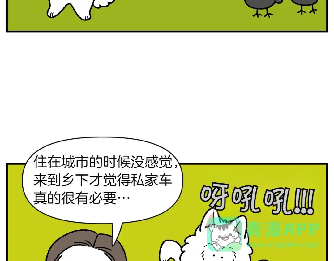 第66话首班车-我的狗子叫棉花-milo+Polarfox（第5张）