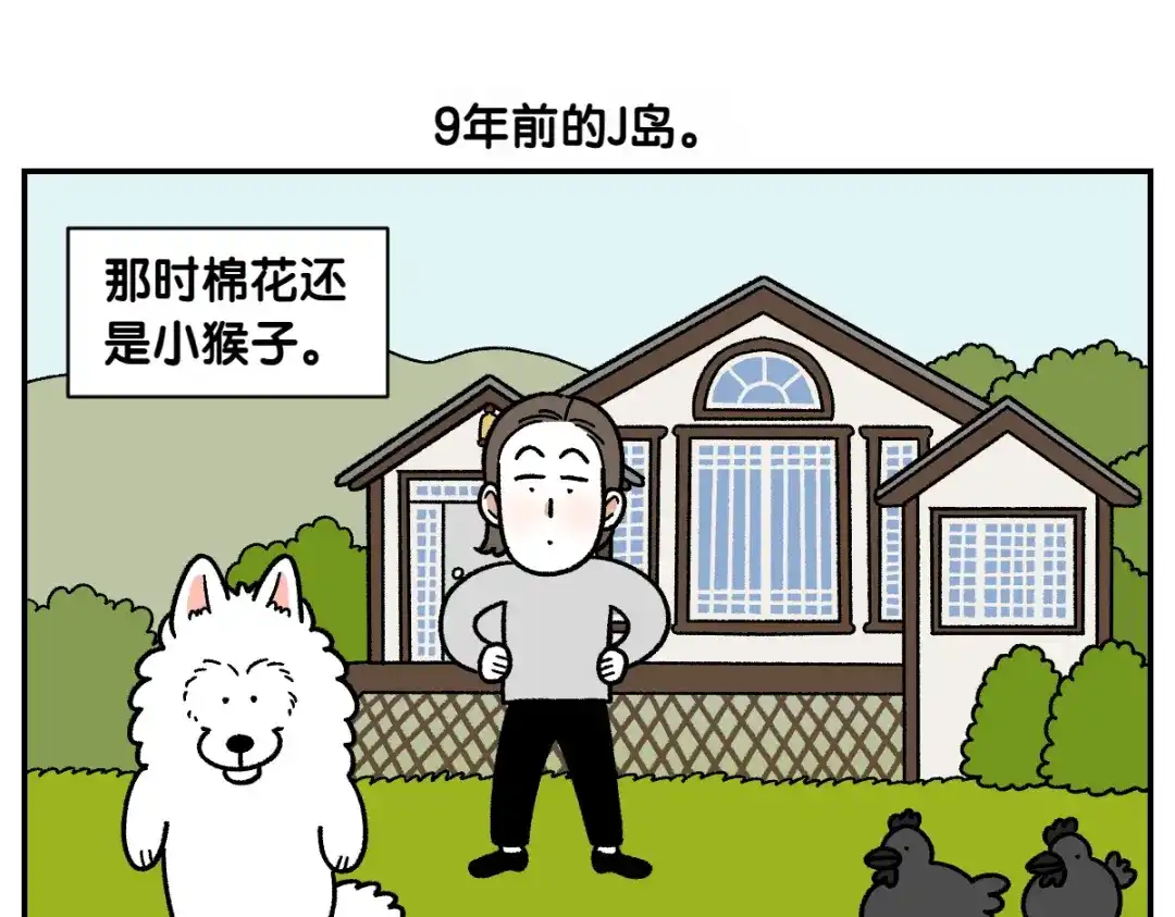 第66话首班车-我的狗子叫棉花-milo+Polarfox（第4张）