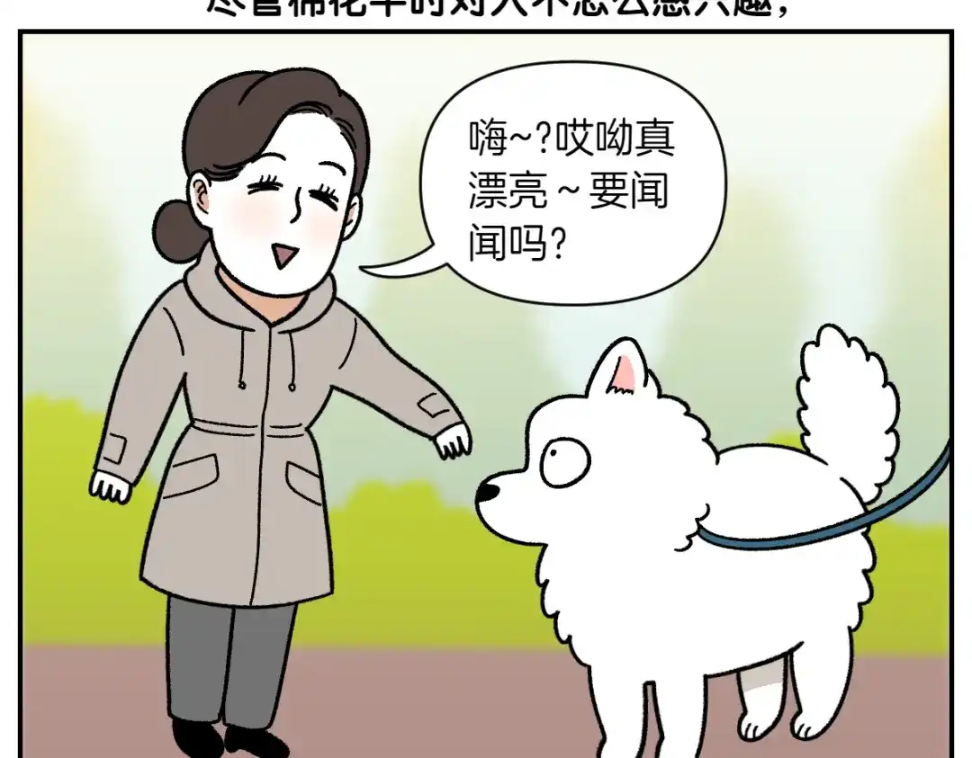第69话只喜欢女生的狗狗-我的狗子叫棉花-milo+Polarfox（第7张）