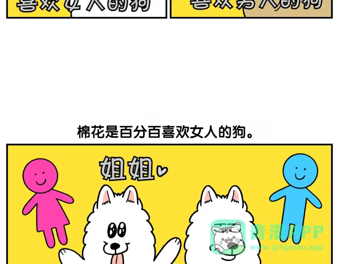第69话只喜欢女生的狗狗-我的狗子叫棉花-milo+Polarfox（第5张）