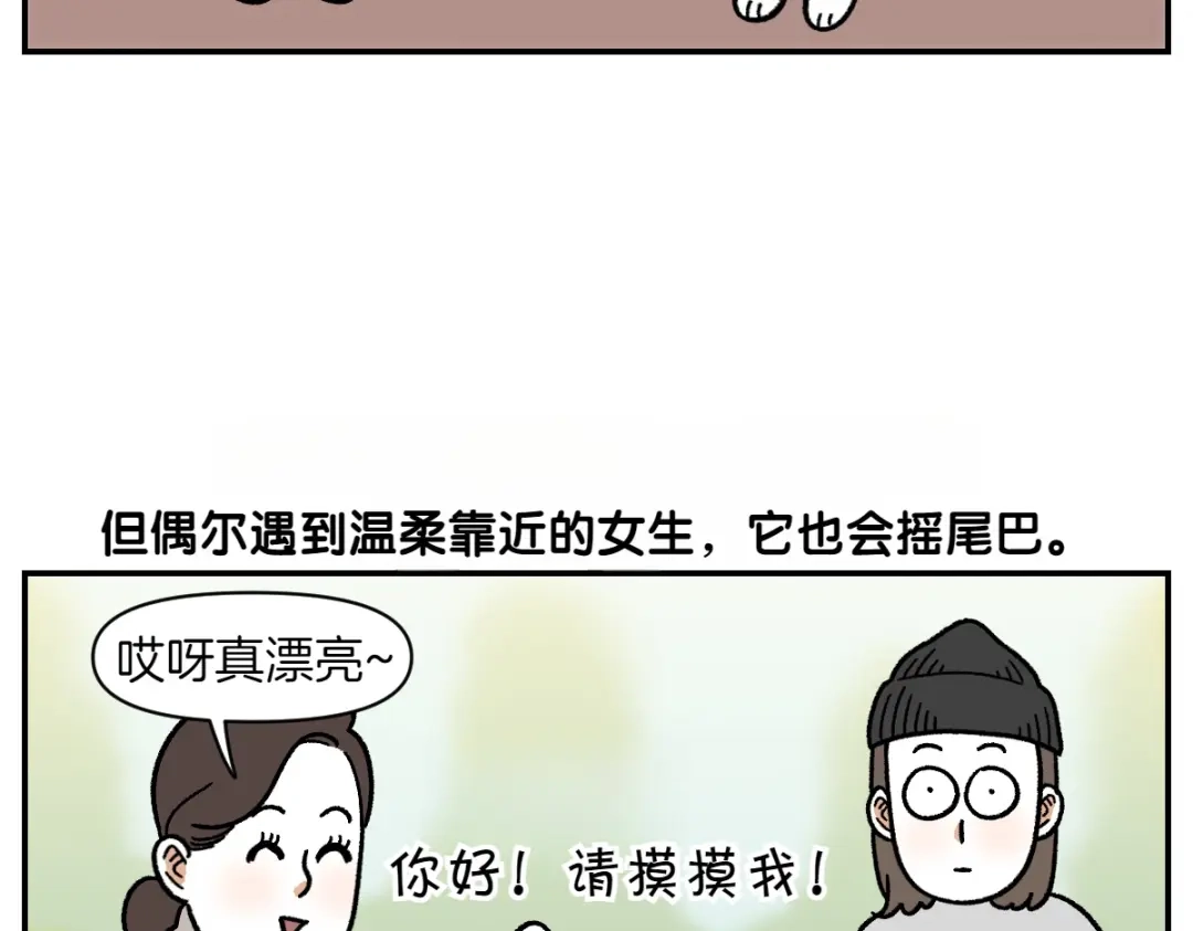 第69话只喜欢女生的狗狗-我的狗子叫棉花-milo+Polarfox（第8张）