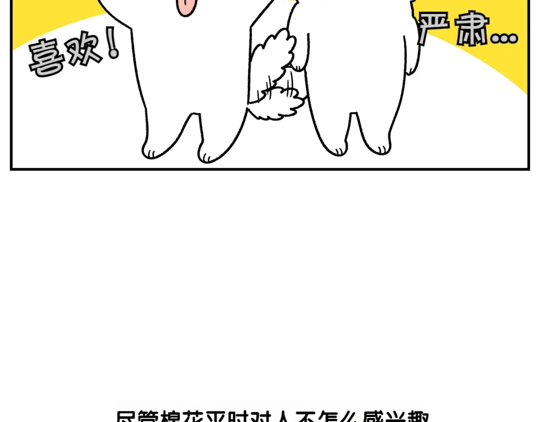 第69话只喜欢女生的狗狗-我的狗子叫棉花-milo+Polarfox（第6张）