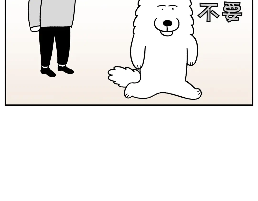 第70话梳毛-我的狗子叫棉花-milo+Polarfox（第9张）