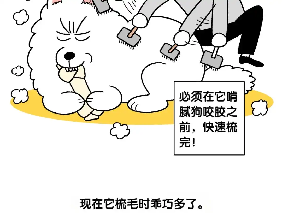 第70话梳毛-我的狗子叫棉花-milo+Polarfox（第6张）