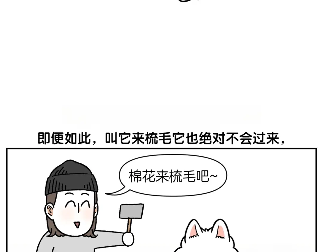 第70话梳毛-我的狗子叫棉花-milo+Polarfox（第8张）
