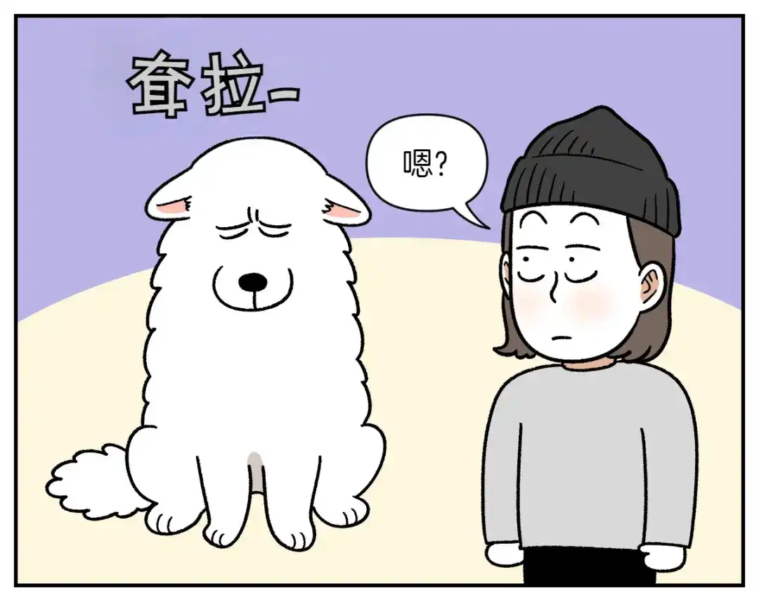 第71话害怕打雷的狗-我的狗子叫棉花-milo+Polarfox（第4张）