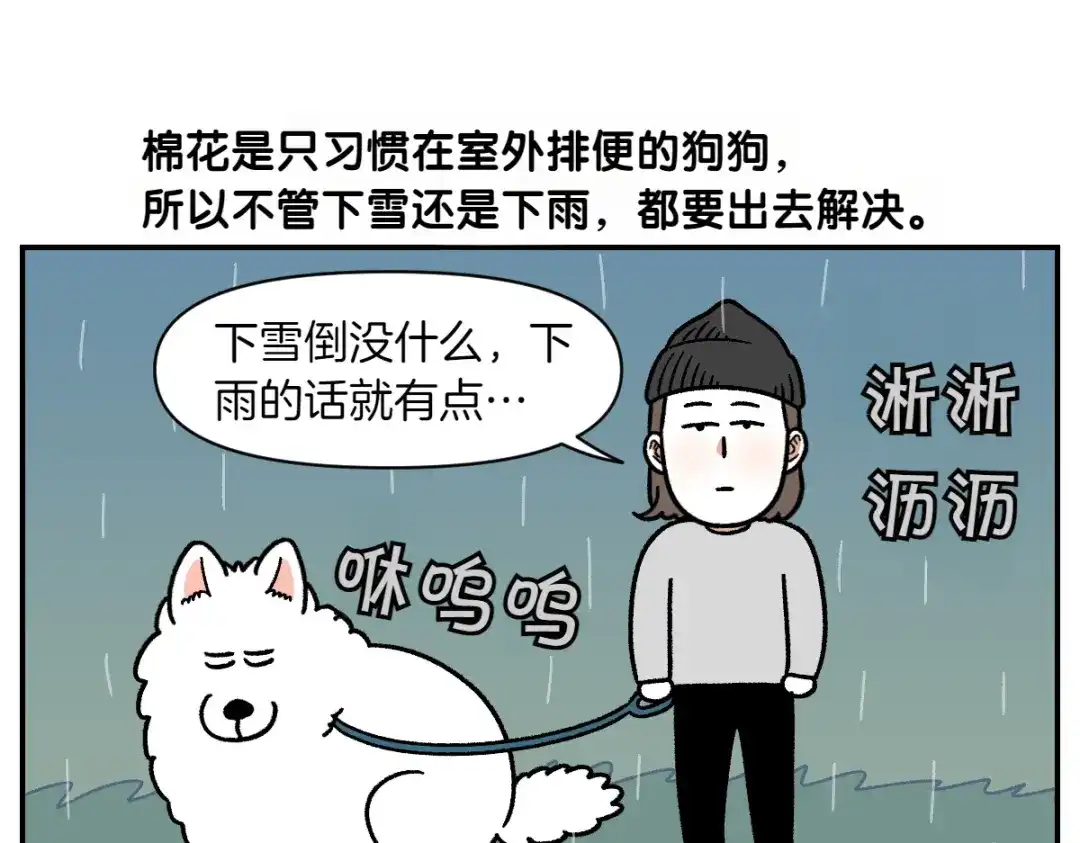 第73话下雨天的排便散布-我的狗子叫棉花-milo+Polarfox（第4张）