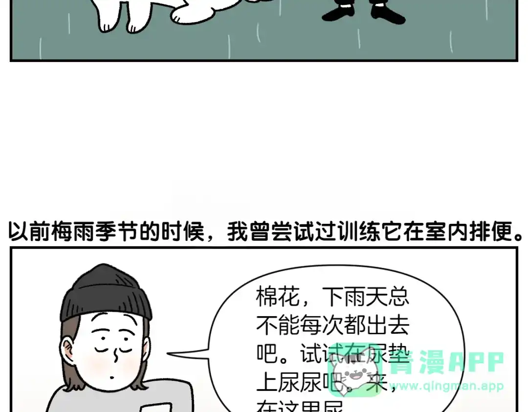 第73话下雨天的排便散布-我的狗子叫棉花-milo+Polarfox（第5张）