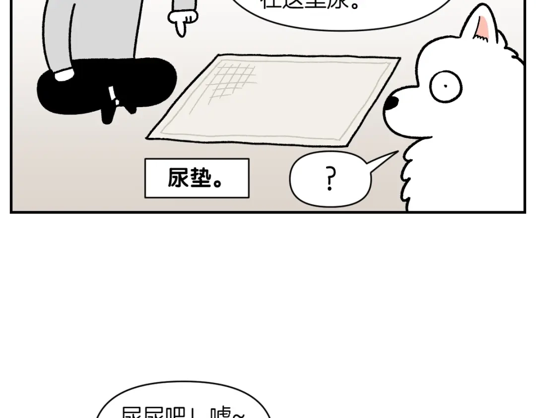 第73话下雨天的排便散布-我的狗子叫棉花-milo+Polarfox（第6张）