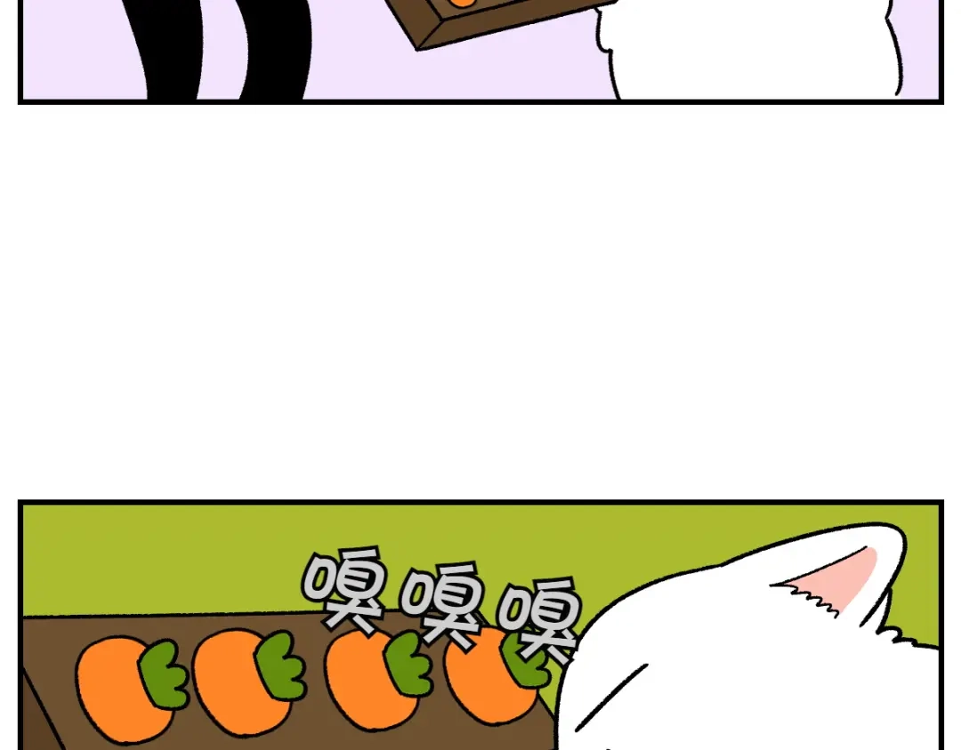 第76话胡萝卜玩偶-我的狗子叫棉花-milo+Polarfox（第8张）