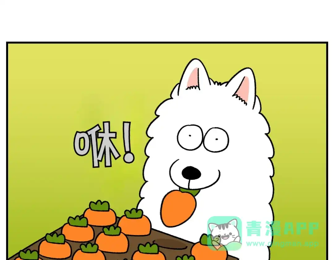 第76话胡萝卜玩偶-我的狗子叫棉花-milo+Polarfox（第10张）