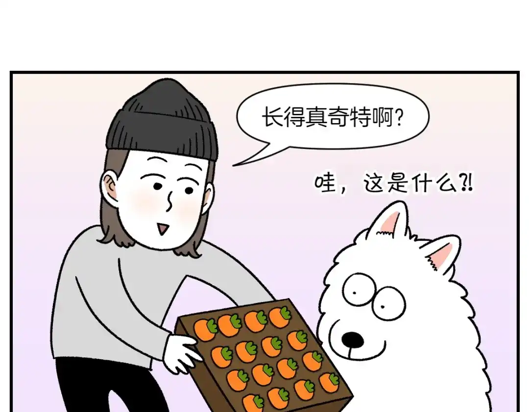 第76话胡萝卜玩偶-我的狗子叫棉花-milo+Polarfox（第7张）