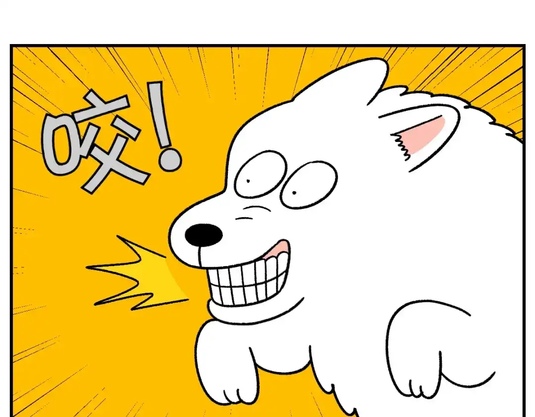第77话接收零食-我的狗子叫棉花-milo+Polarfox（第8张）