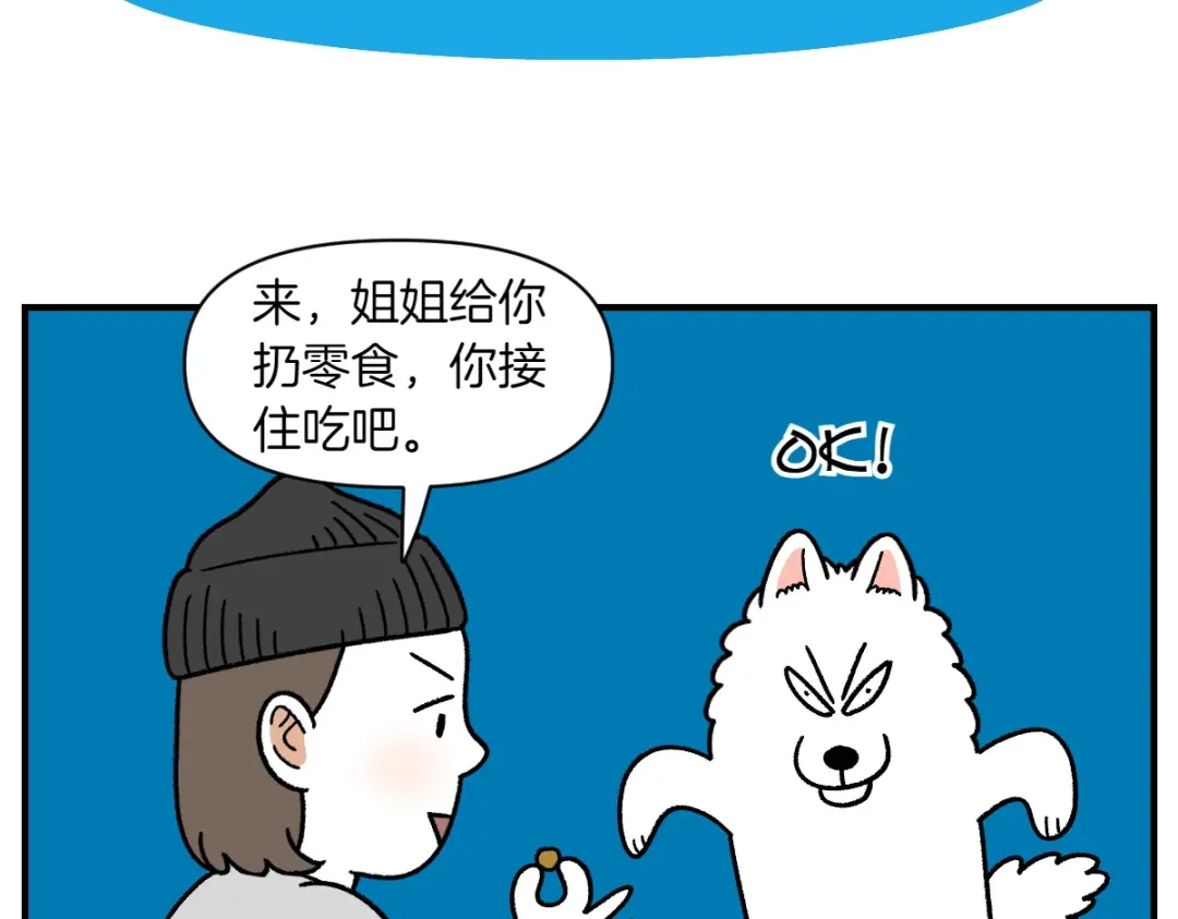 第77话接收零食-我的狗子叫棉花-milo+Polarfox（第5张）
