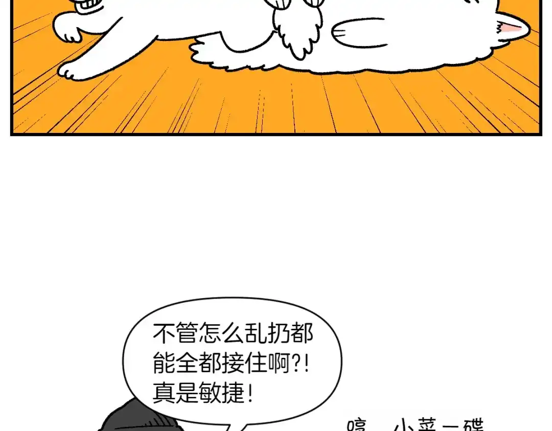 第77话接收零食-我的狗子叫棉花-milo+Polarfox（第13张）