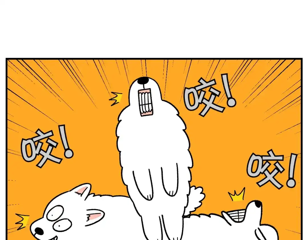 第77话接收零食-我的狗子叫棉花-milo+Polarfox（第12张）