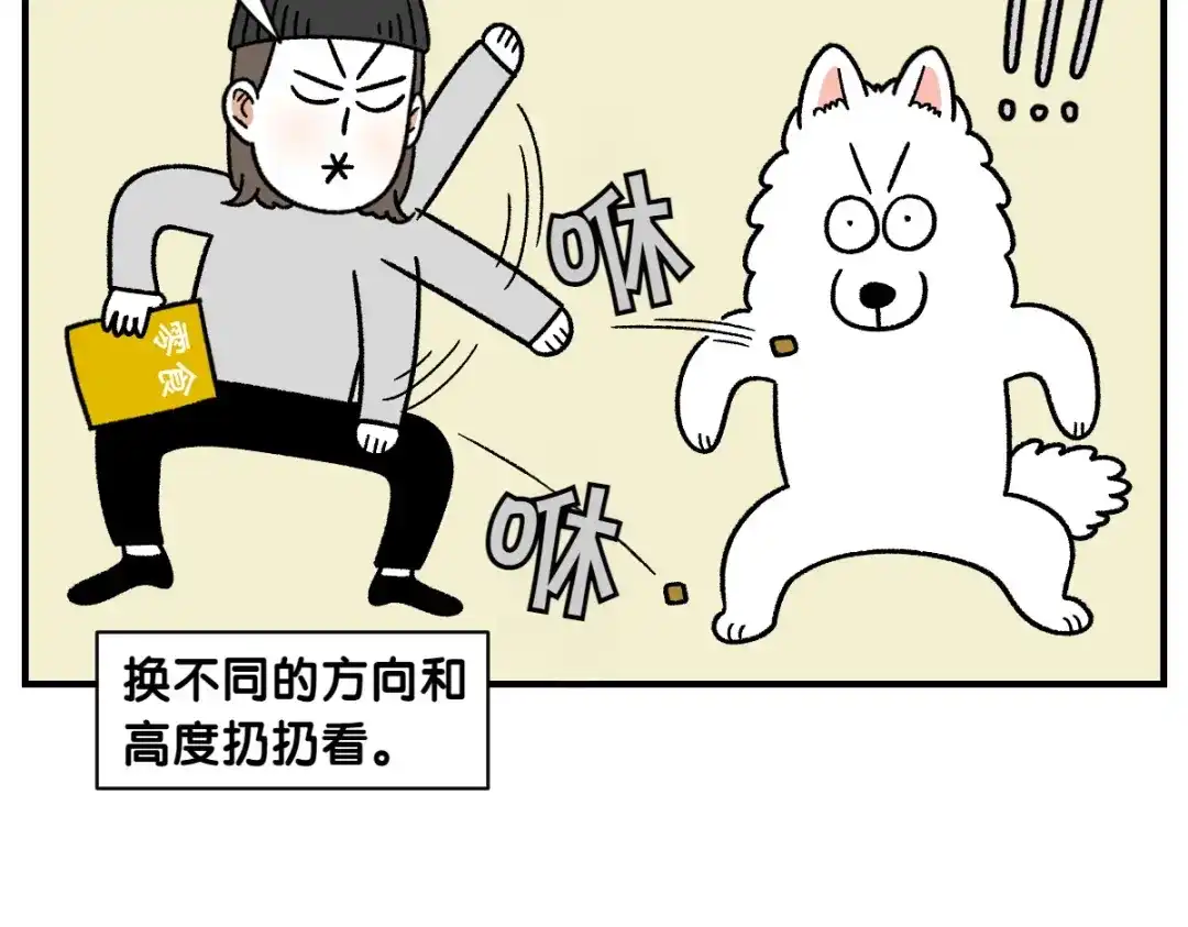 第77话接收零食-我的狗子叫棉花-milo+Polarfox（第11张）