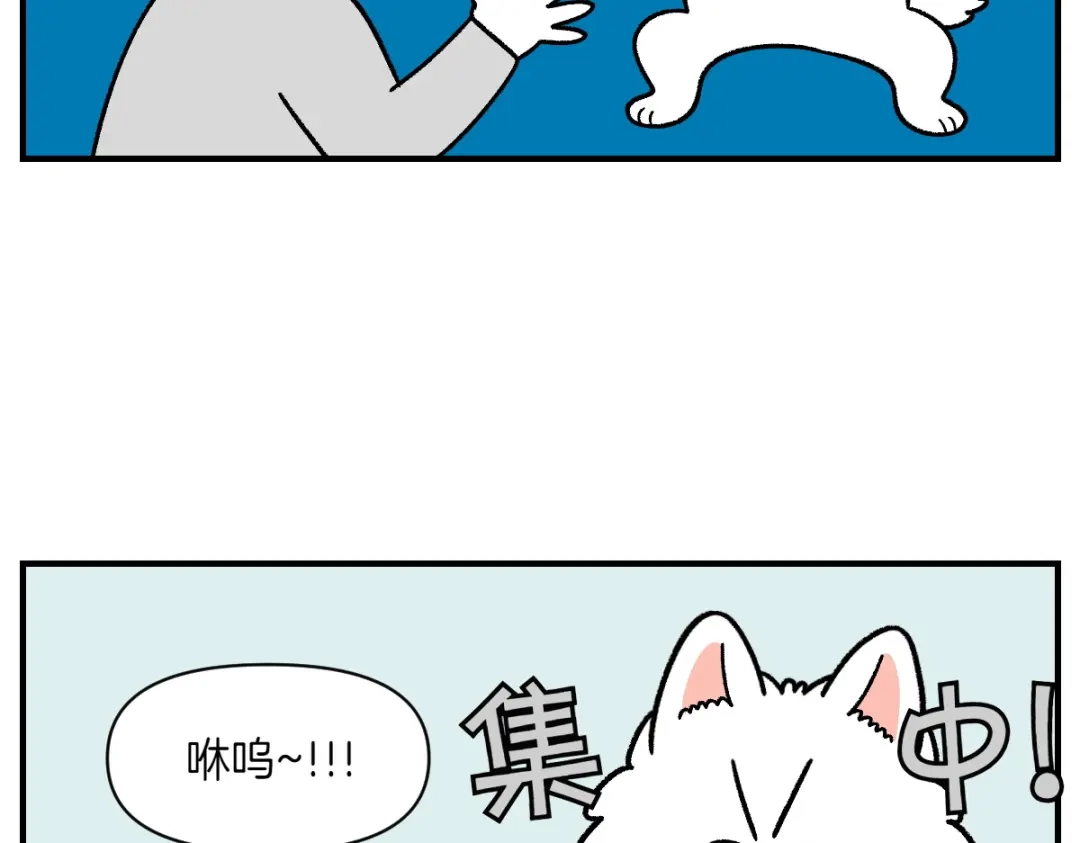 第77话接收零食-我的狗子叫棉花-milo+Polarfox（第6张）