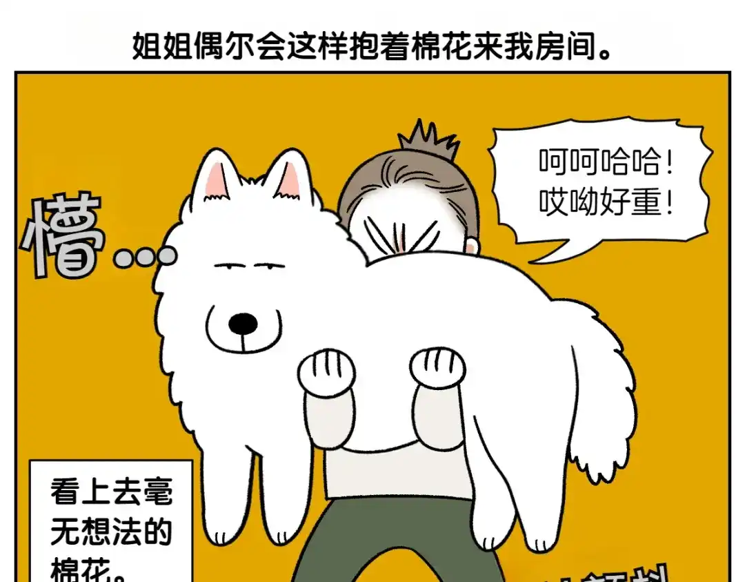 第79话抱着棉花出去-我的狗子叫棉花-milo+Polarfox（第11张）
