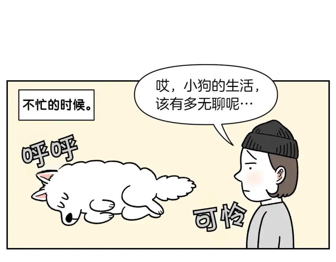 第80话早晚都在睡觉的狗-我的狗子叫棉花-milo+Polarfox（第7张）