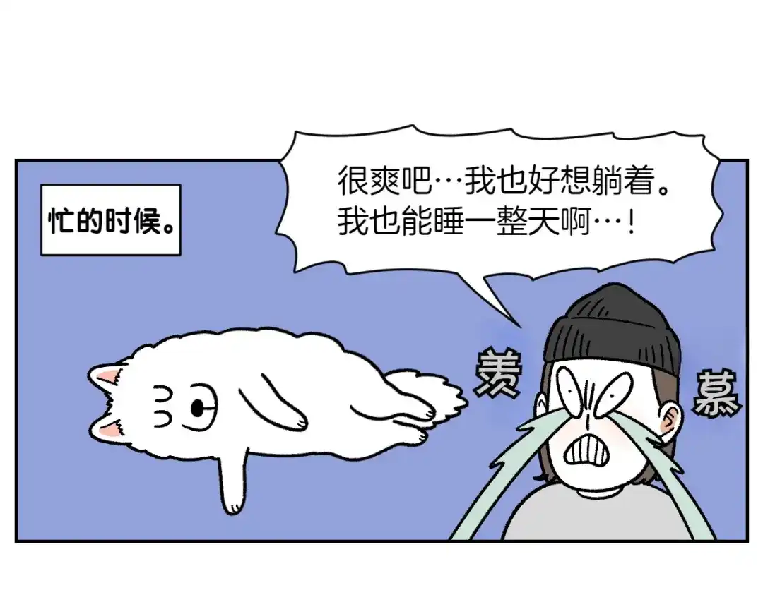 第80话早晚都在睡觉的狗-我的狗子叫棉花-milo+Polarfox（第8张）