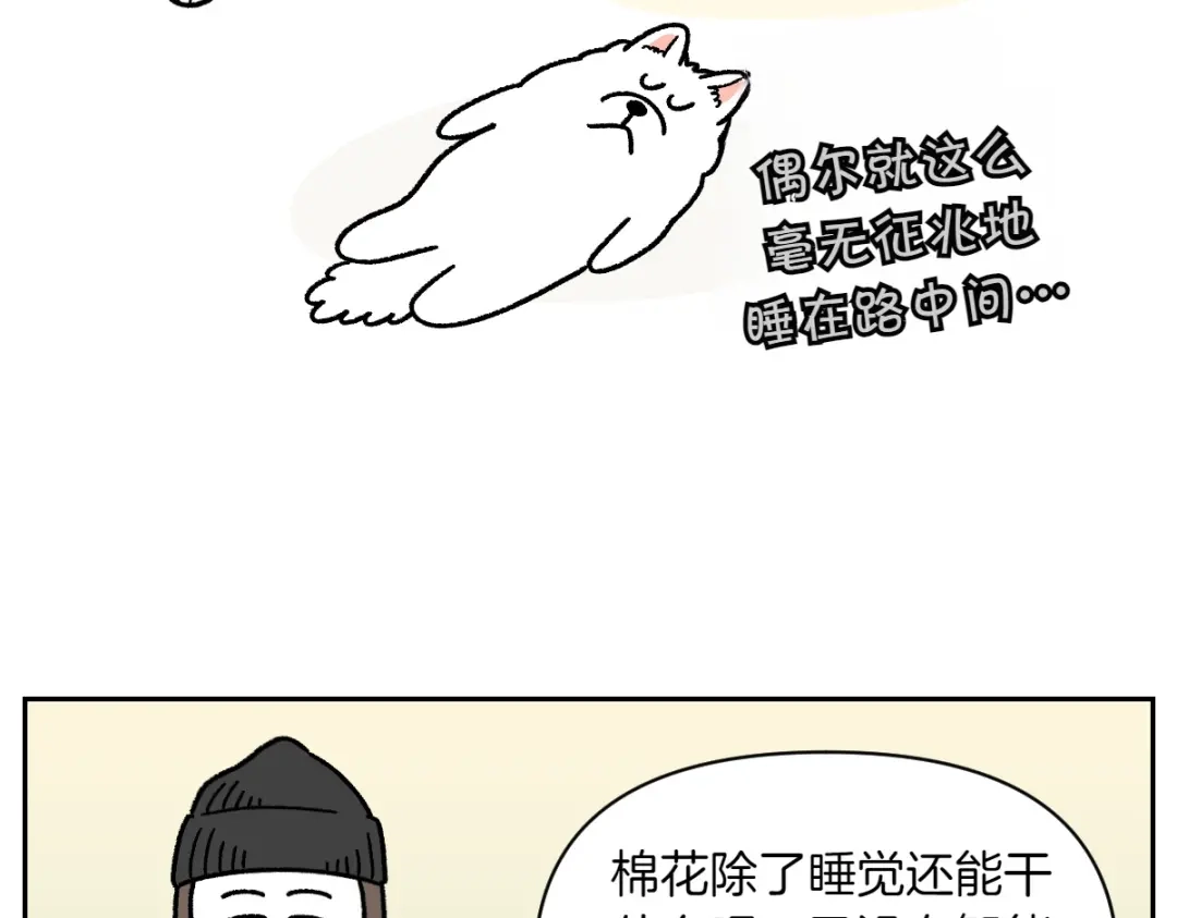 第80话早晚都在睡觉的狗-我的狗子叫棉花-milo+Polarfox（第5张）