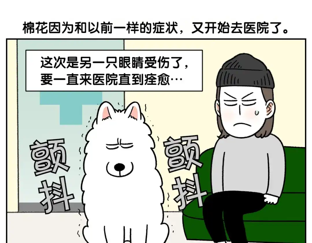 第81话医生的暗恋-我的狗子叫棉花-milo+Polarfox（第4张）