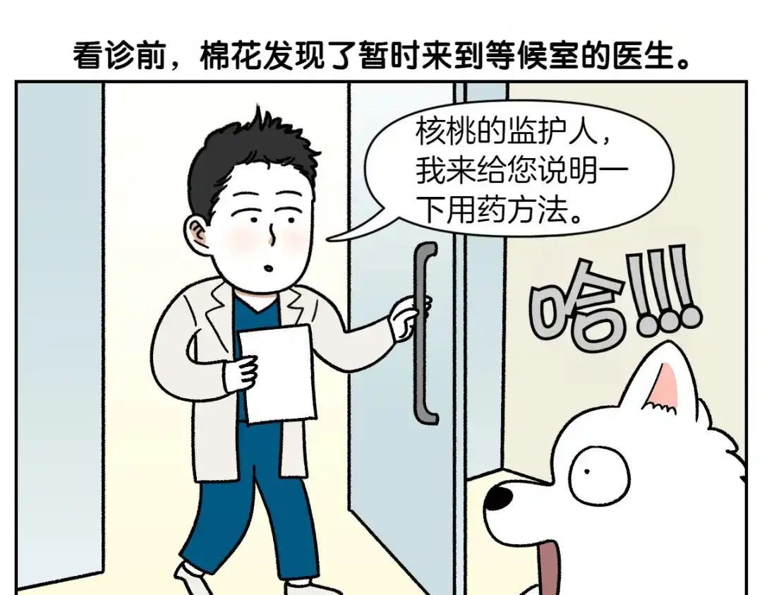 第81话医生的暗恋-我的狗子叫棉花-milo+Polarfox（第10张）