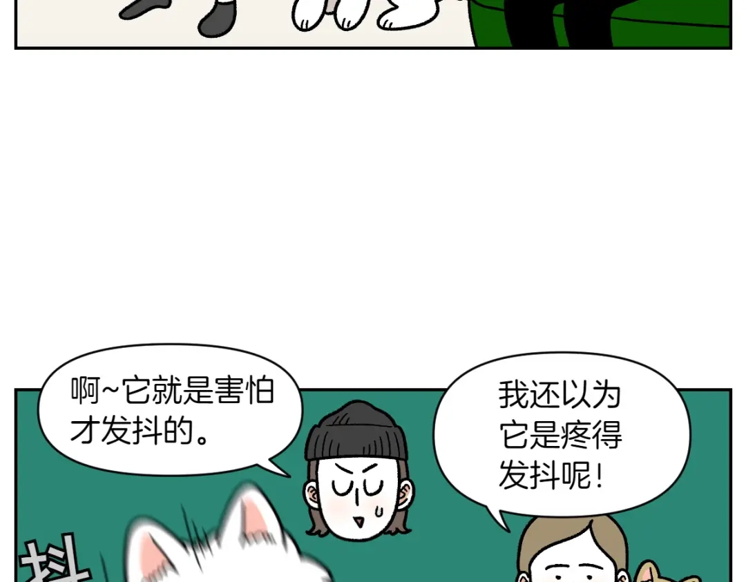第81话医生的暗恋-我的狗子叫棉花-milo+Polarfox（第8张）