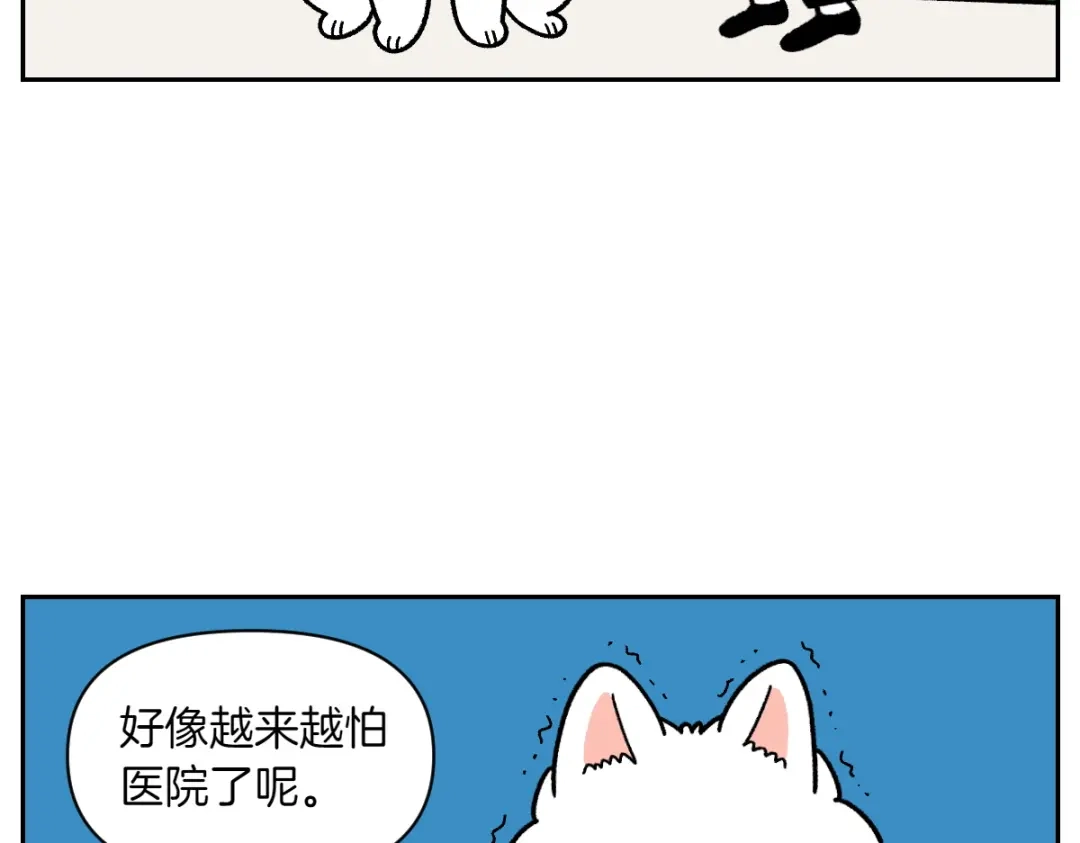 第81话医生的暗恋-我的狗子叫棉花-milo+Polarfox（第5张）