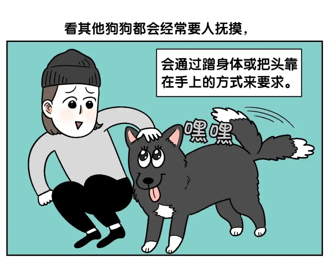 第82话摸摸时间-我的狗子叫棉花-milo+Polarfox（第4张）