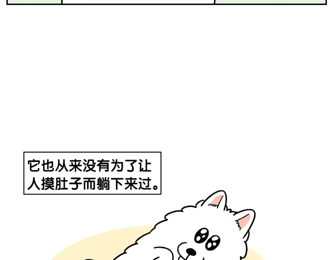 第82话摸摸时间-我的狗子叫棉花-milo+Polarfox（第9张）