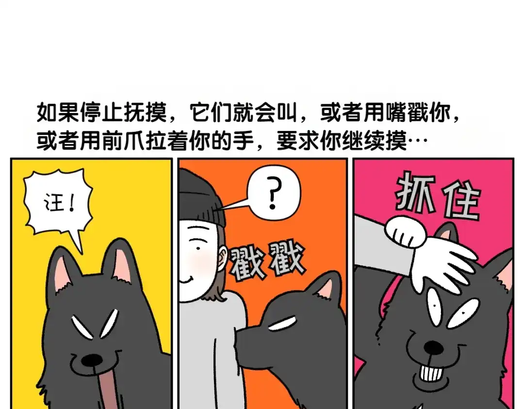 第82话摸摸时间-我的狗子叫棉花-milo+Polarfox（第5张）