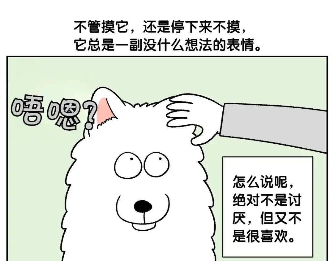 第82话摸摸时间-我的狗子叫棉花-milo+Polarfox（第8张）