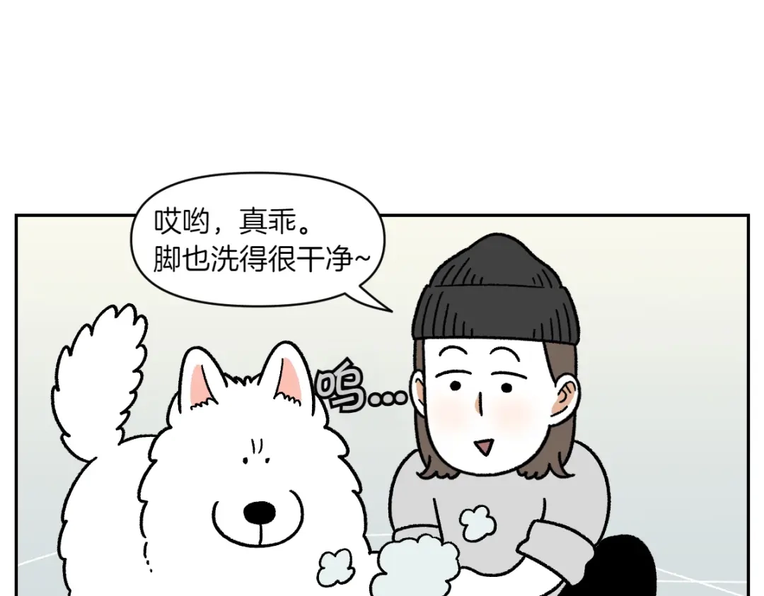 第84话坏种子事件-我的狗子叫棉花-milo+Polarfox（第5张）