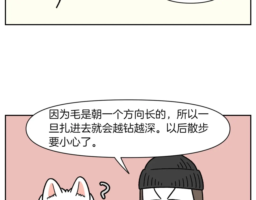 第84话坏种子事件-我的狗子叫棉花-milo+Polarfox（第9张）