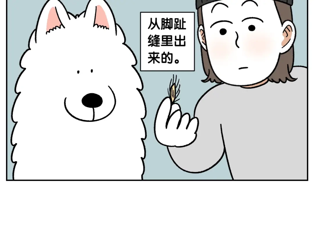 第84话坏种子事件-我的狗子叫棉花-milo+Polarfox（第7张）