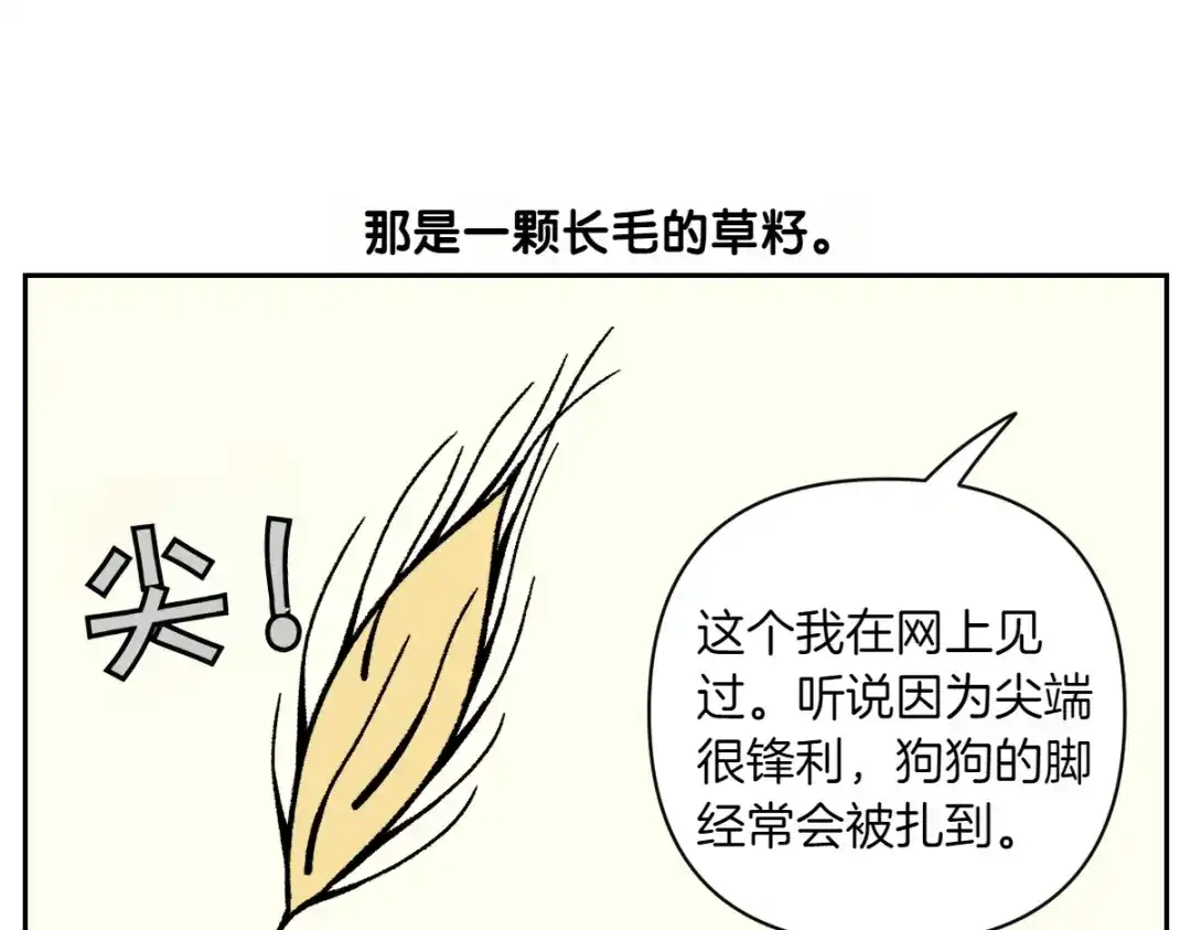 第84话坏种子事件-我的狗子叫棉花-milo+Polarfox（第8张）