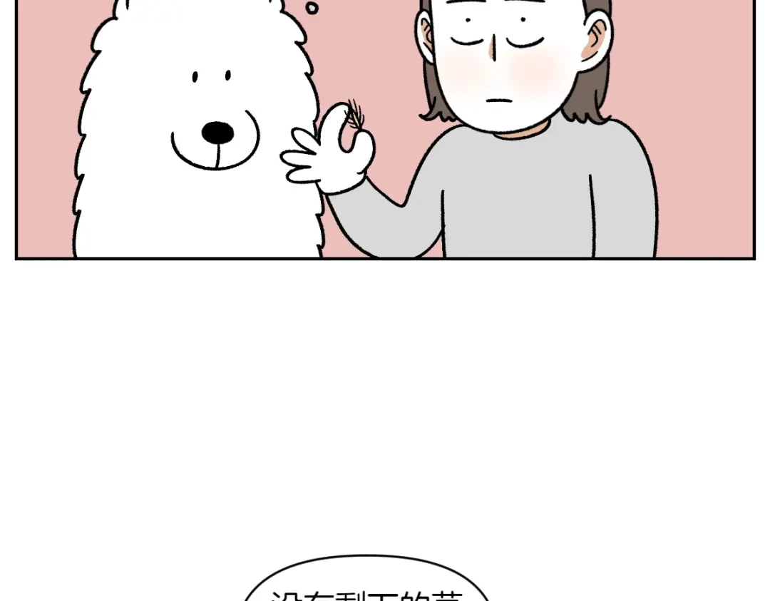 第84话坏种子事件-我的狗子叫棉花-milo+Polarfox（第10张）