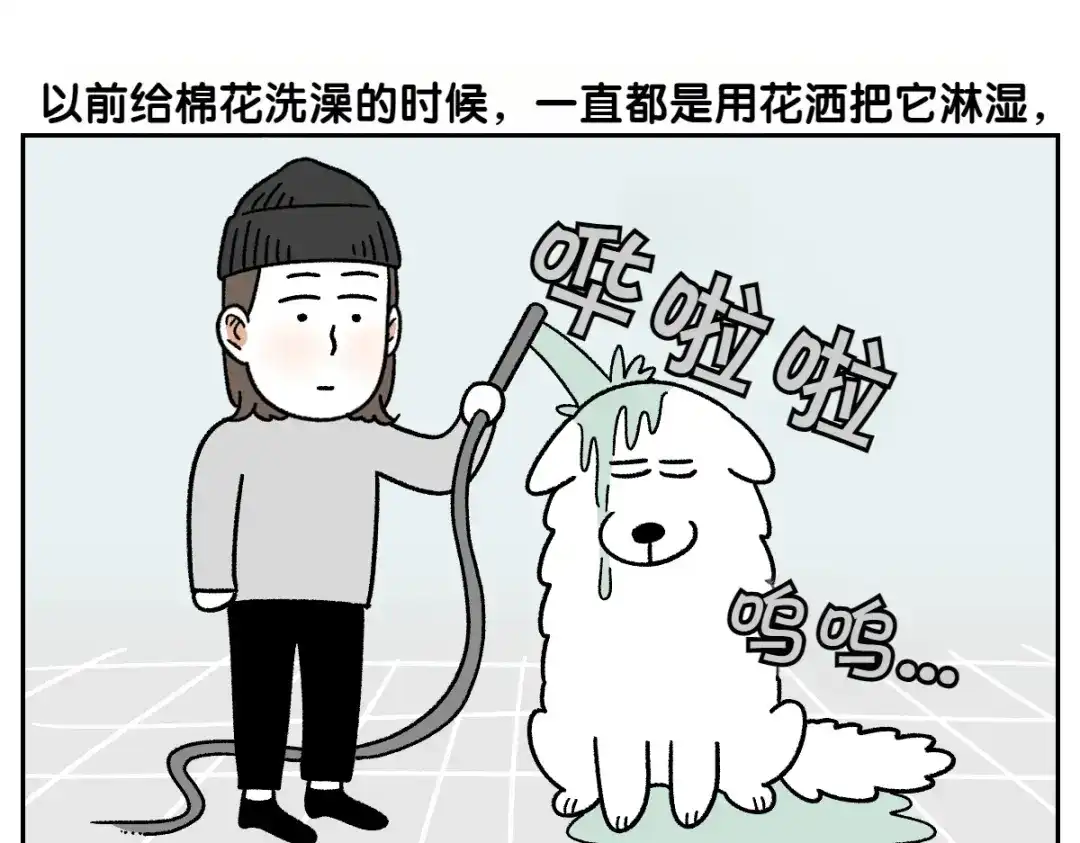 第85话泡澡-我的狗子叫棉花-milo+Polarfox（第4张）