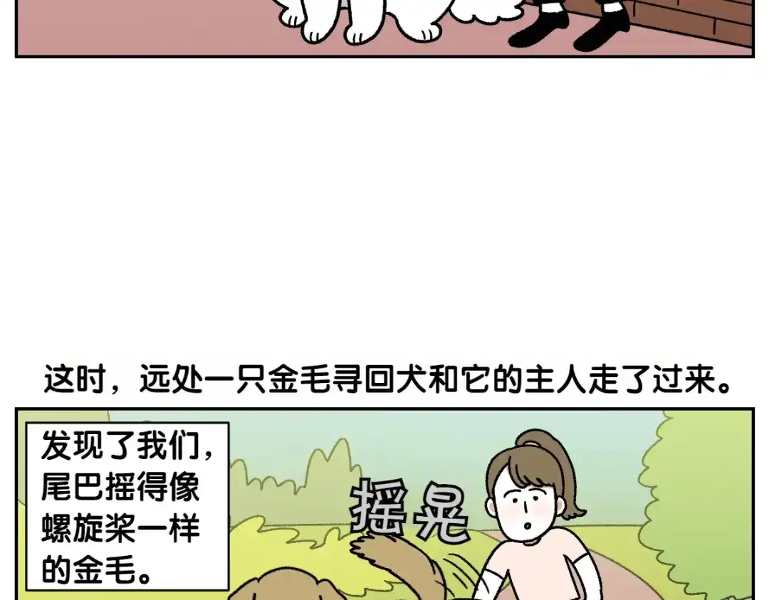 第87话狗的嫉妒-我的狗子叫棉花-milo+Polarfox（第5张）