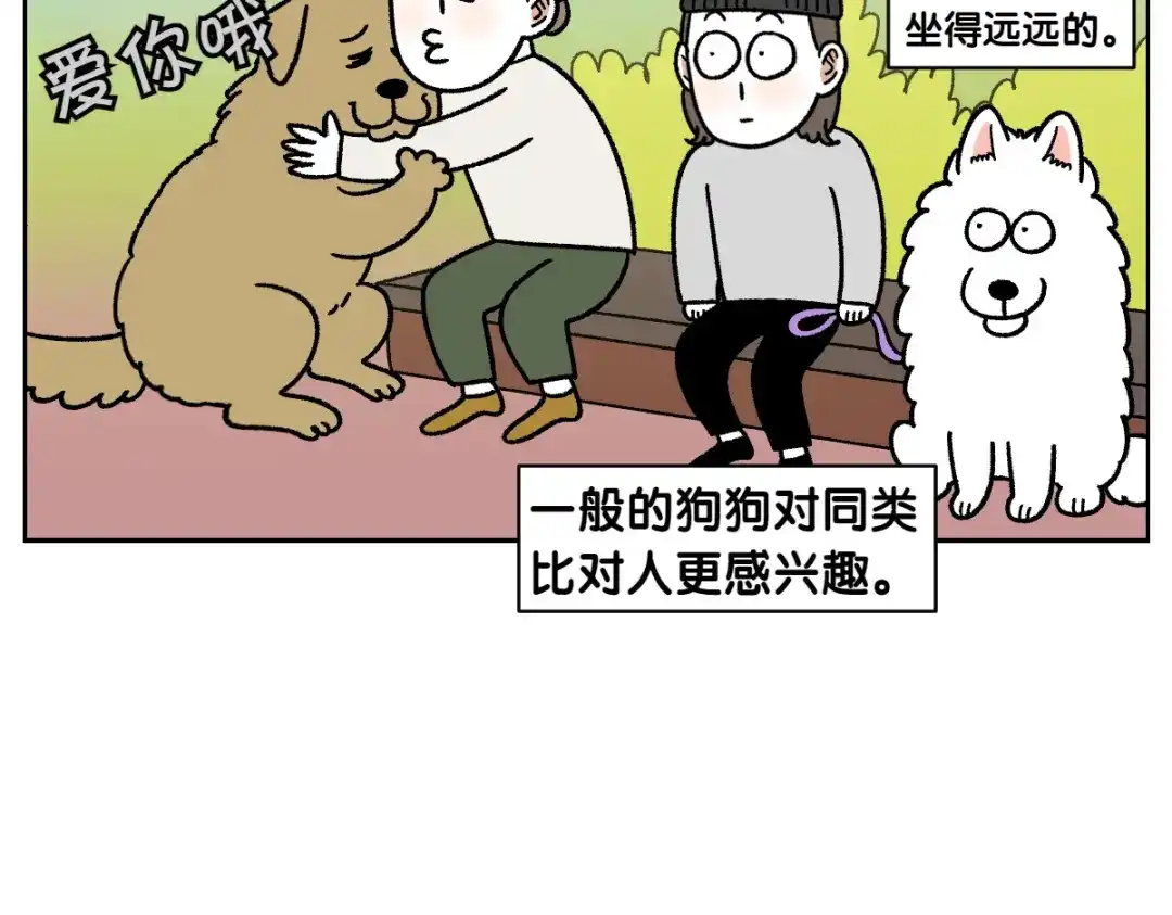 第87话狗的嫉妒-我的狗子叫棉花-milo+Polarfox（第10张）